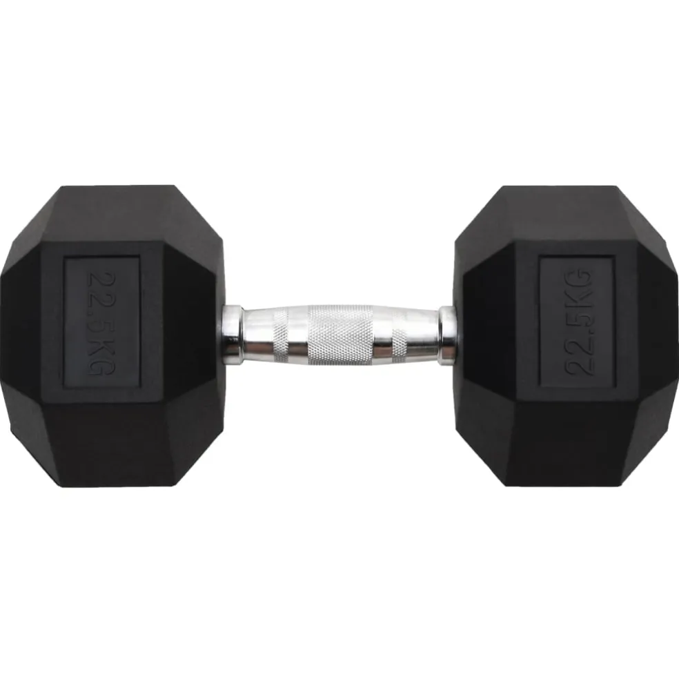 vidaXL Halters 22,5 kg gietijzer