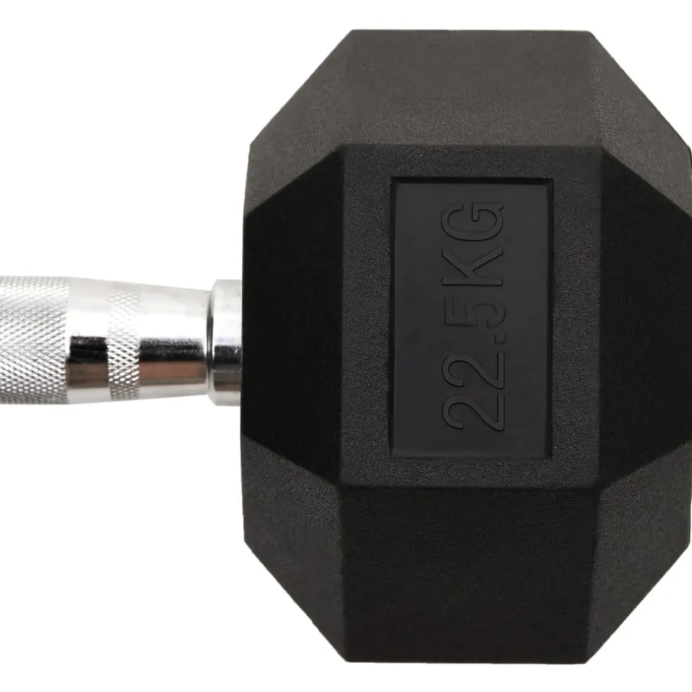 vidaXL Halters 22,5 kg gietijzer