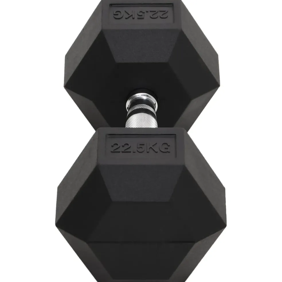 vidaXL Halters 22,5 kg gietijzer