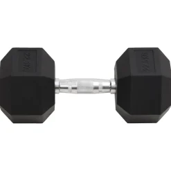 vidaXL Halters 22,5 kg gietijzer