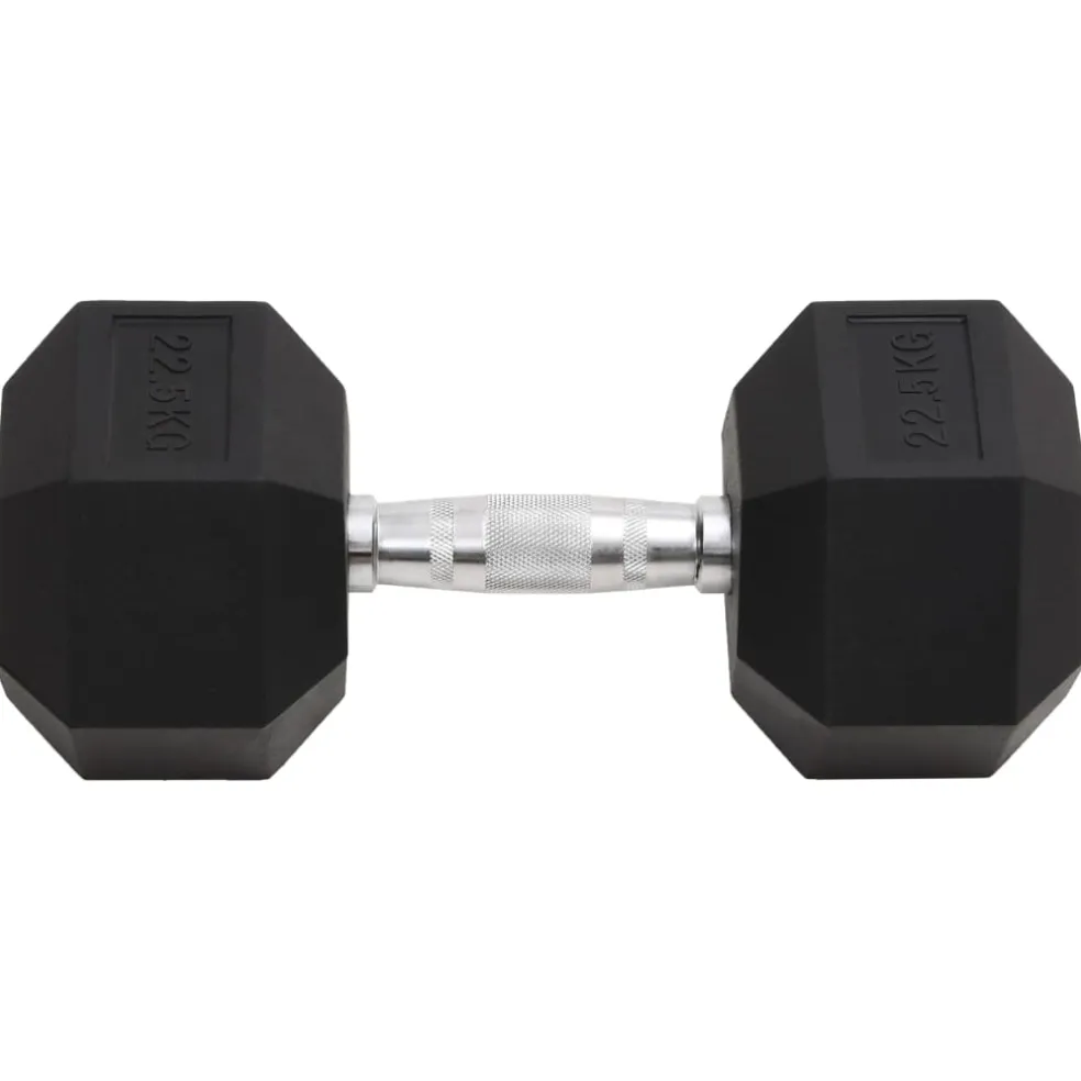 vidaXL Halters 22,5 kg gietijzer