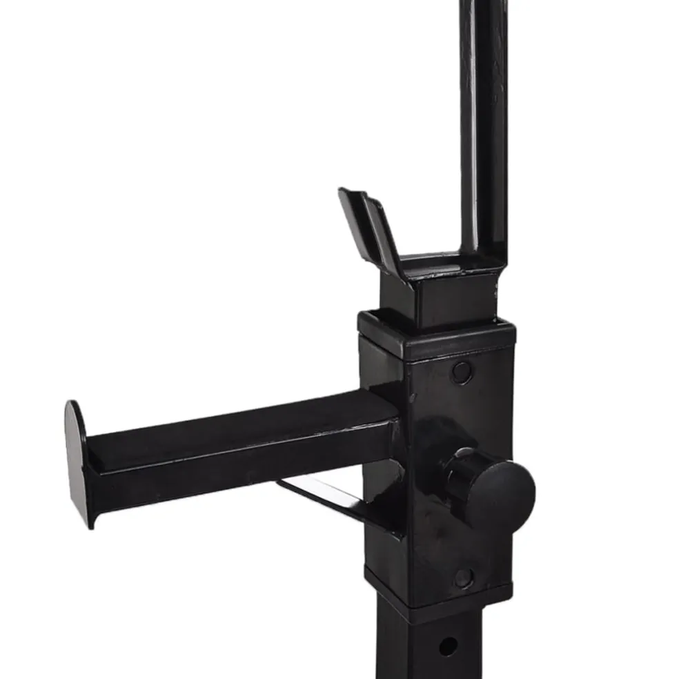 vidaXL Halter-/squatrek met halterset 30,5 kg