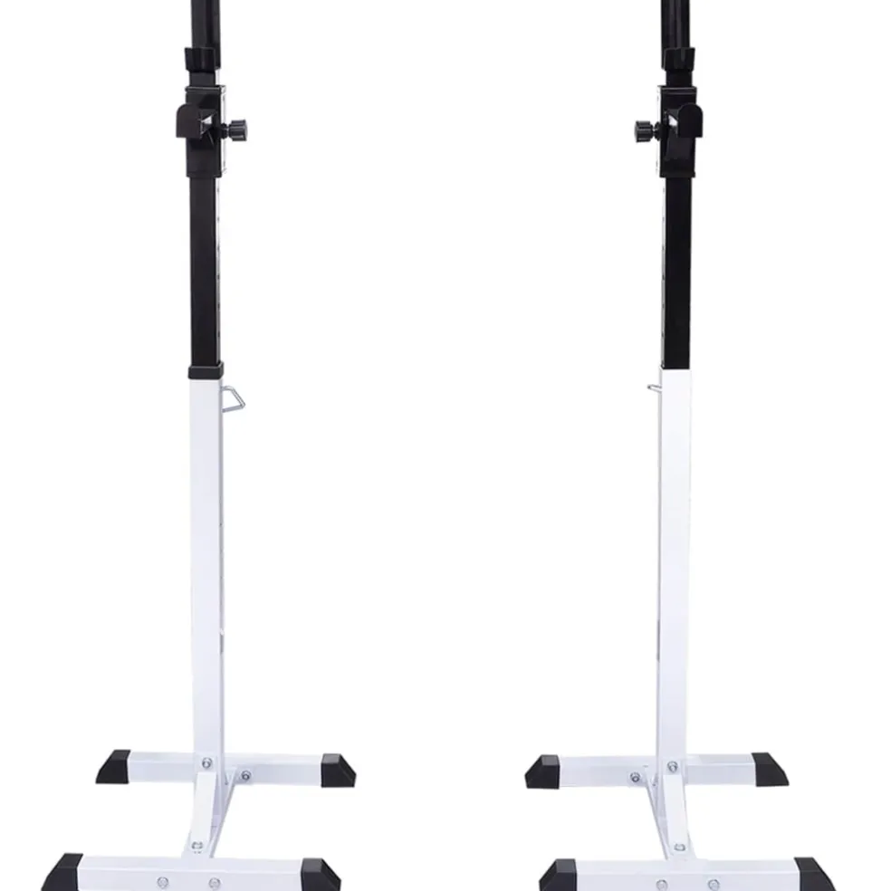 vidaXL Halter-/squatrek met halterset 30,5 kg