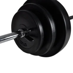 vidaXL Halter-/squatrek met halterset 30,5 kg
