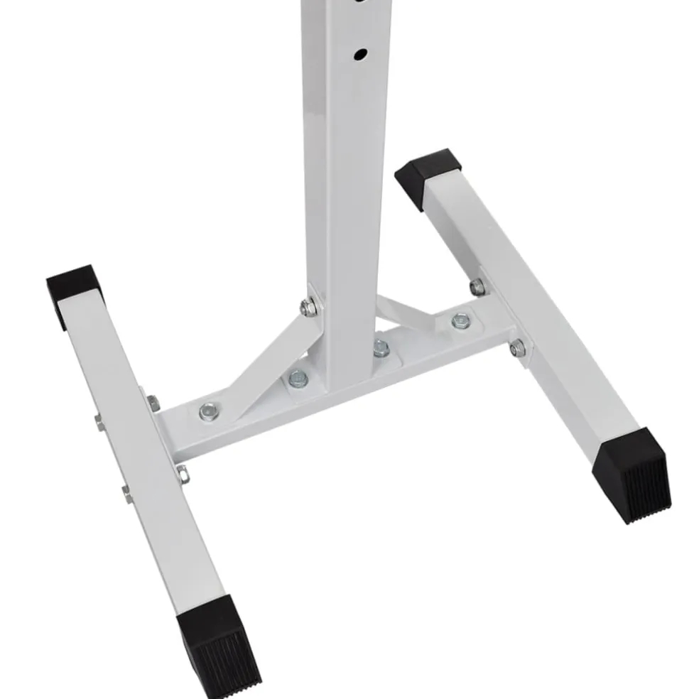 vidaXL Halter-/squatrek met halterset 30,5 kg