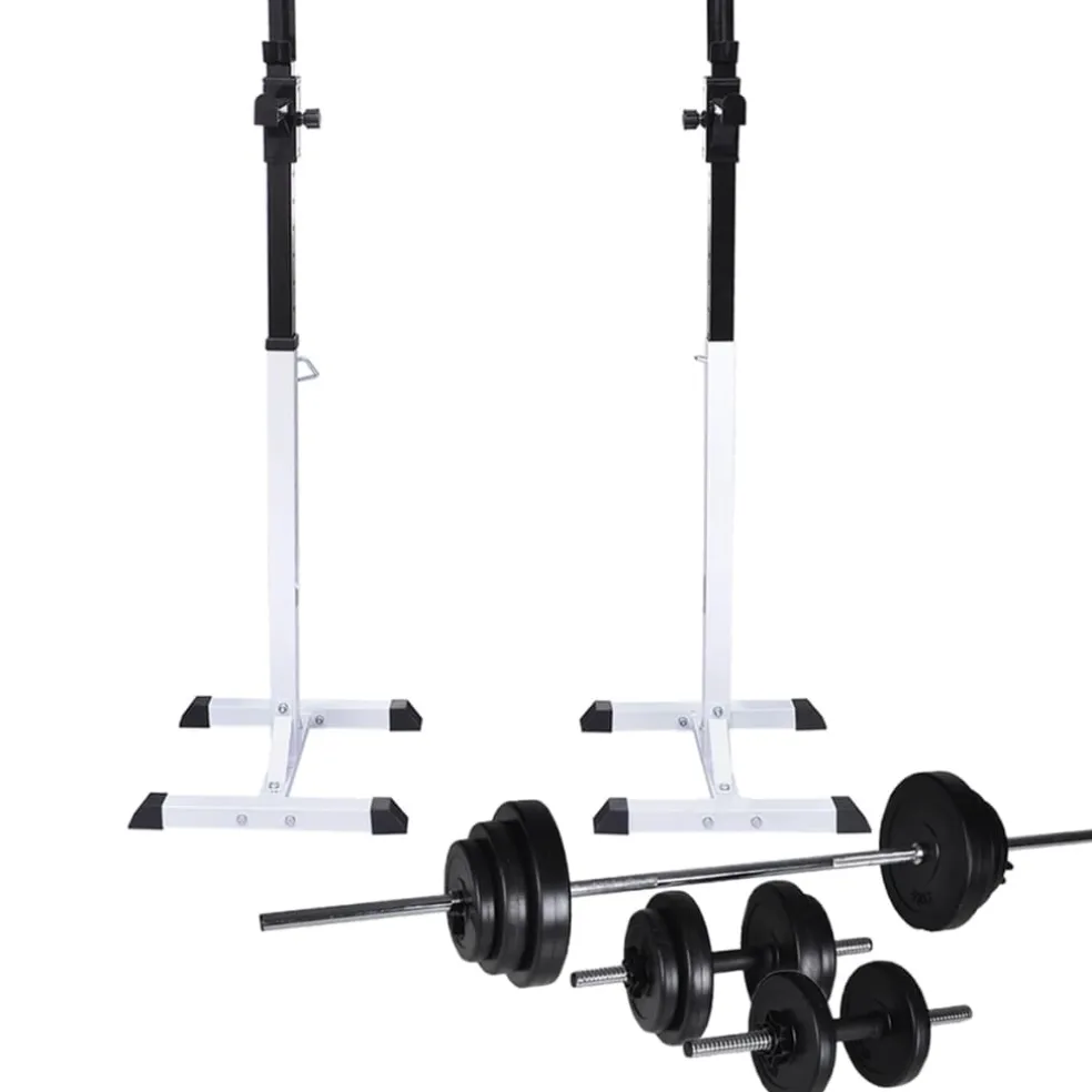vidaXL Halter-/squatrek met halterset 30,5 kg