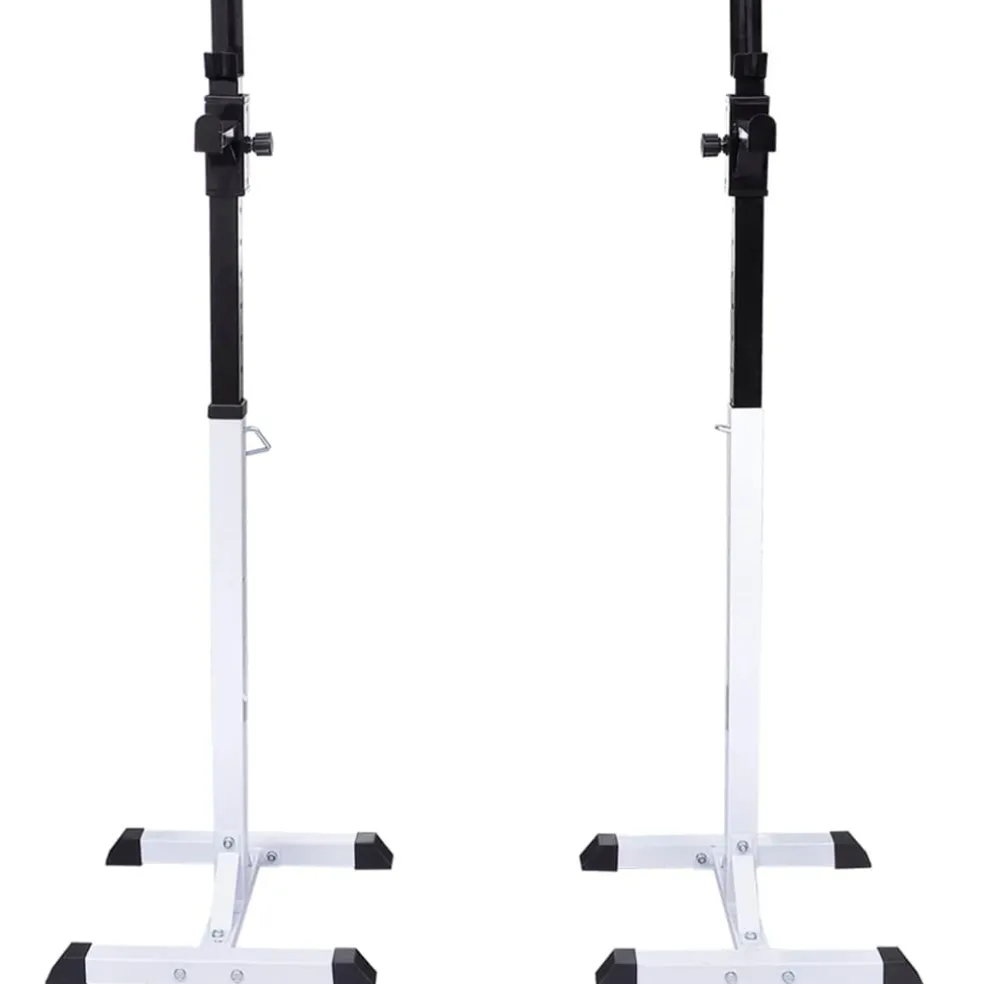 vidaXL Halter-/squatrek met halterset 60,5 kg
