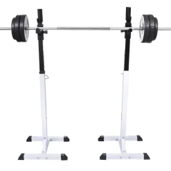 vidaXL Halter-/squatrek met halterset 60,5 kg