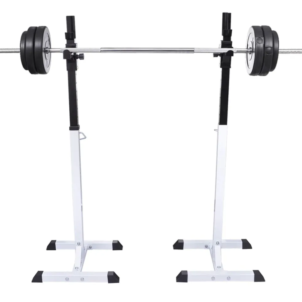 vidaXL Halter-/squatrek met halterset 60,5 kg