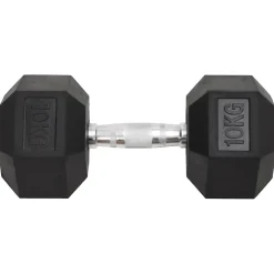 vidaXL Halters 2 st 10 kg totaal gietijzer
