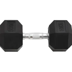 vidaXL Halters 2 st 10 kg totaal gietijzer