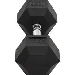 vidaXL Halters 2 st 10 kg totaal gietijzer