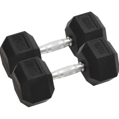 vidaXL Halters 2 st 10 kg totaal gietijzer