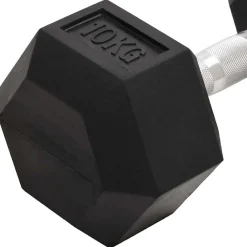vidaXL Halters 2 st 10 kg totaal gietijzer