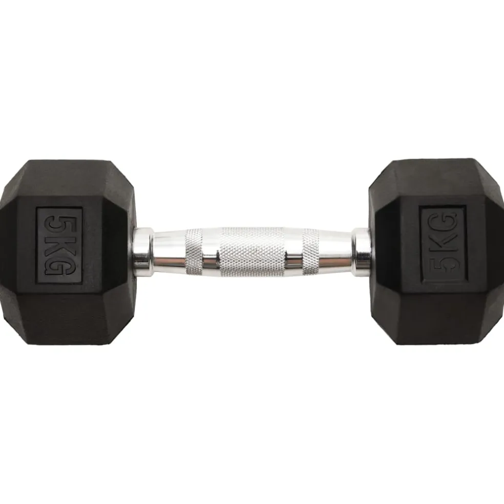 vidaXL Halters 2 st 5 kg totaal gietijzer