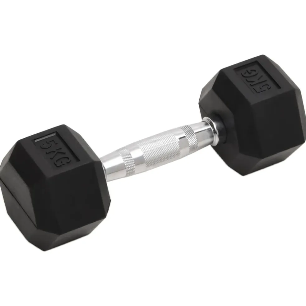vidaXL Halters 2 st 5 kg totaal gietijzer