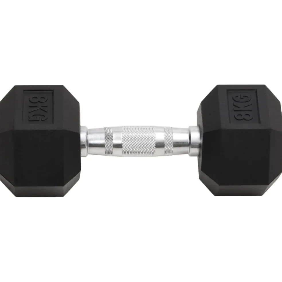 vidaXL Halters 2 st 8 kg totaal gietijzer