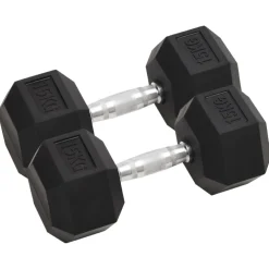 vidaXL Halters 2 st 15 kg totaal gietijzer