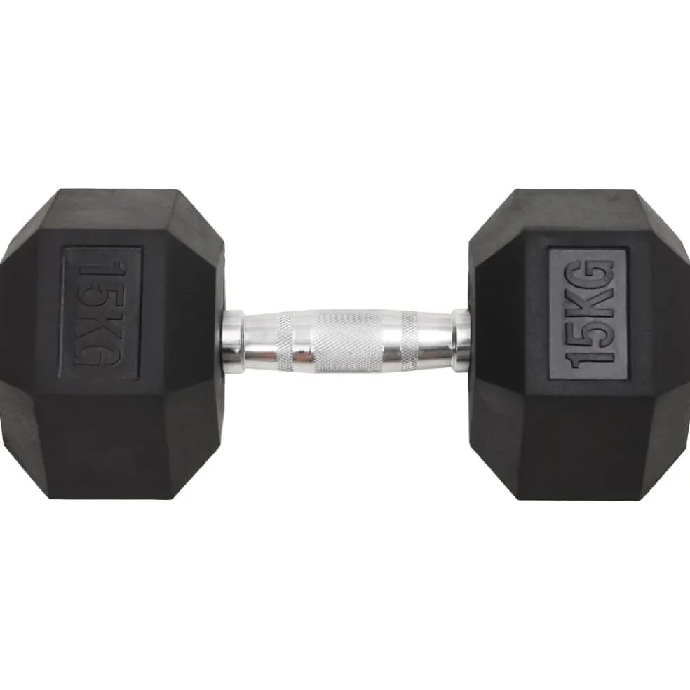 vidaXL Halters 2 st 15 kg totaal gietijzer