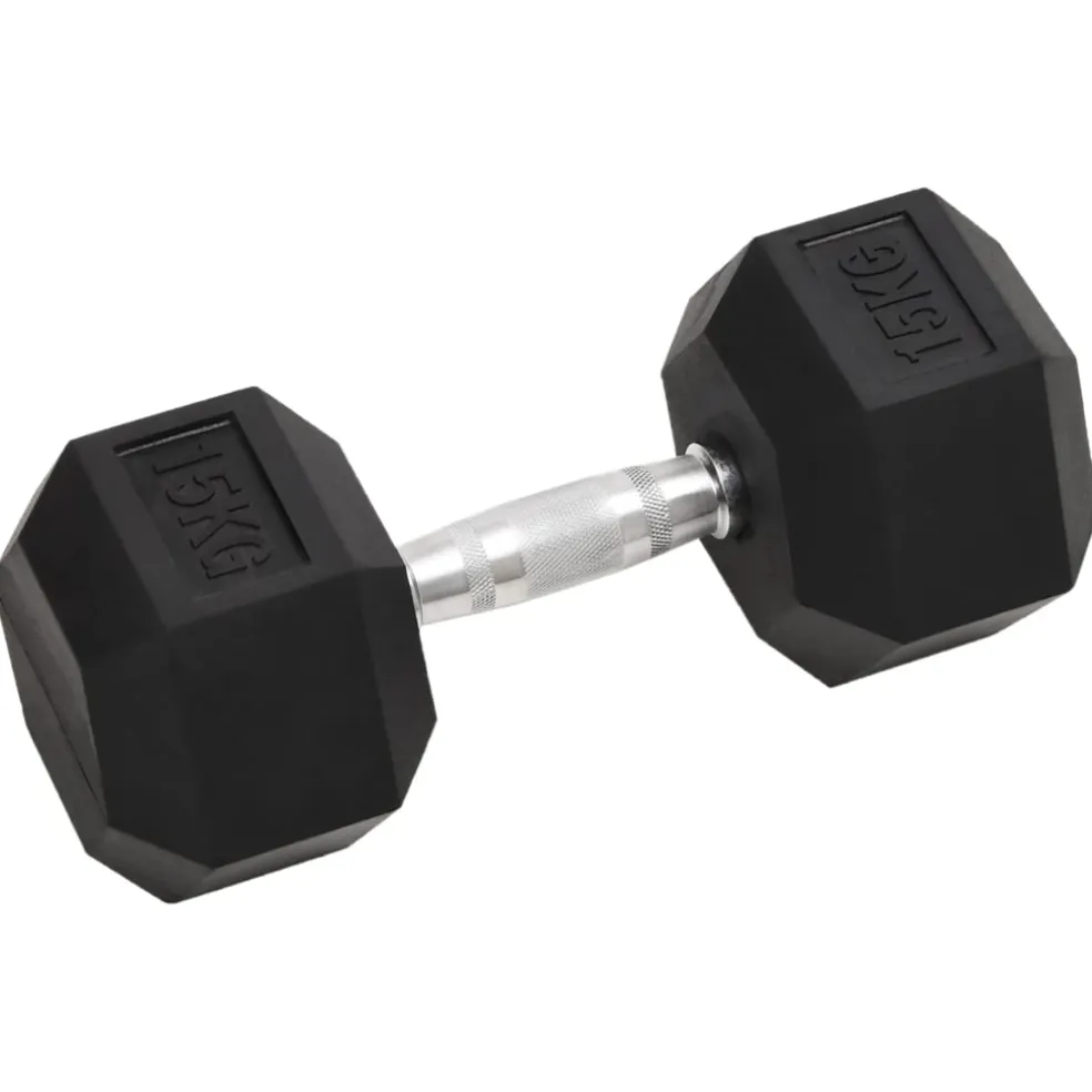vidaXL Halters 2 st 15 kg totaal gietijzer