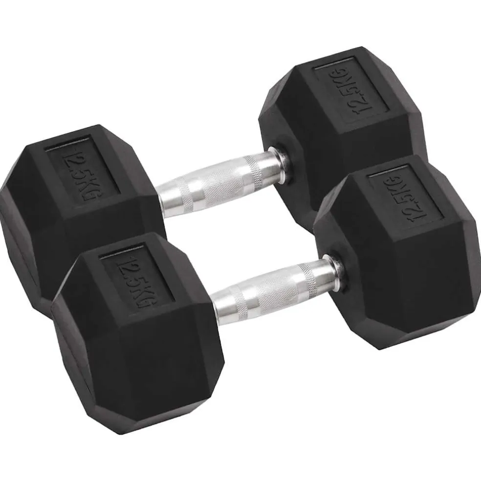 vidaXL Halters 2 st 12,5 kg totaal gietijzer