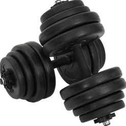 vidaXL Halters 2x15 kg
