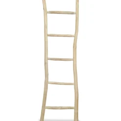 vidaXL Handdoekenladder met 5 sporten 45x150 cm teakhout
