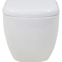 vidaXL Hangend toilet met hoge verbogen stortbak keramiek