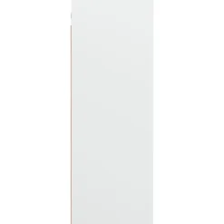 vidaXL Hangkast 69,5x32,5x90 cm wit