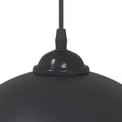 vidaXL Hanglampen 2 st In hoogte verstelbaar E27 30 cm metaal zwart