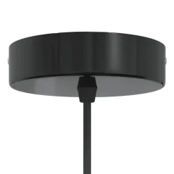 vidaXL Hanglampen 2 st In hoogte verstelbaar E27 30 cm metaal zwart