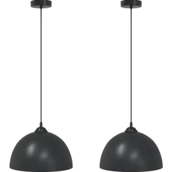 vidaXL Hanglampen 2 st In hoogte verstelbaar E27 30 cm metaal zwart