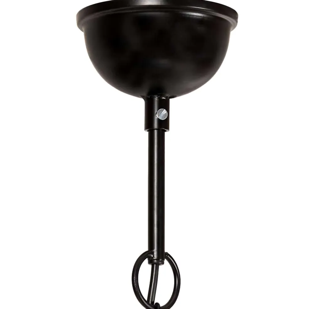 vidaXL Hanglamp industrieel rond 25 W E27 40 cm zwart