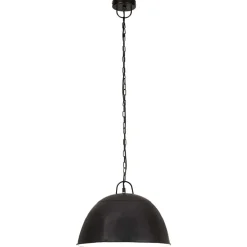 vidaXL Hanglamp industrieel vintage rond 25 W E27 41 cm zwart