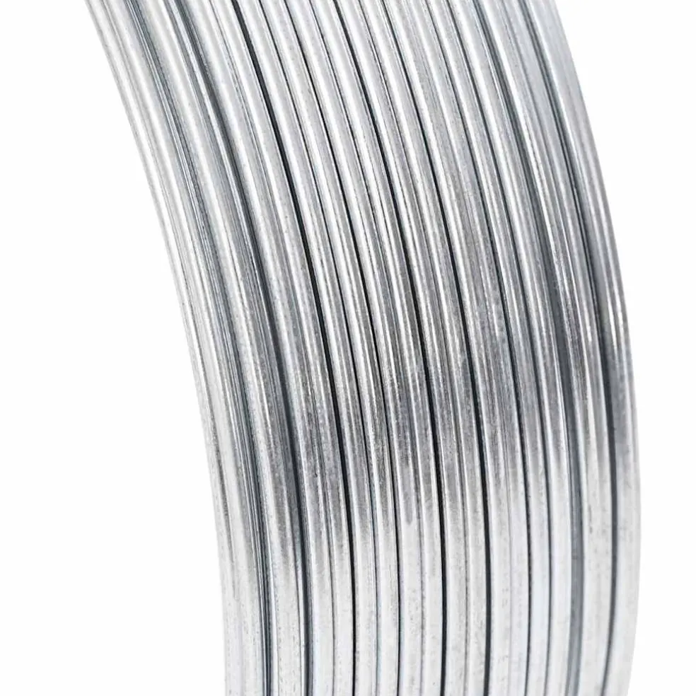vidaXL Hek binddraad Zilver 80 m Warm verzinkte draad