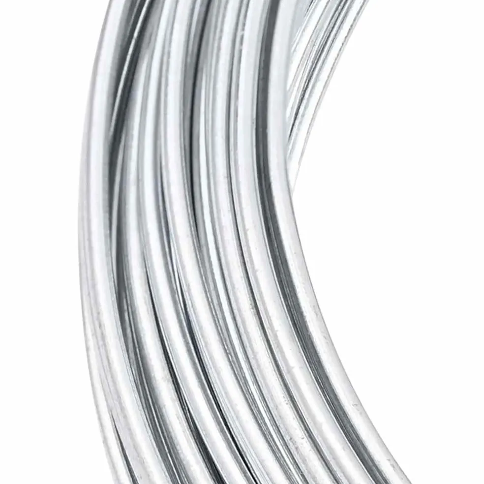 vidaXL Hek binddraad Zilver 80 m Warm verzinkte draad