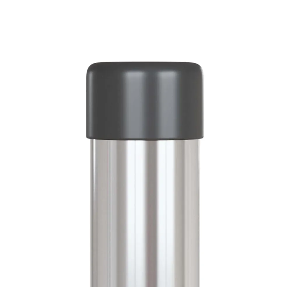 vidaXL Hekpaal 2 st zilver 50 cm Poedergecoat staal