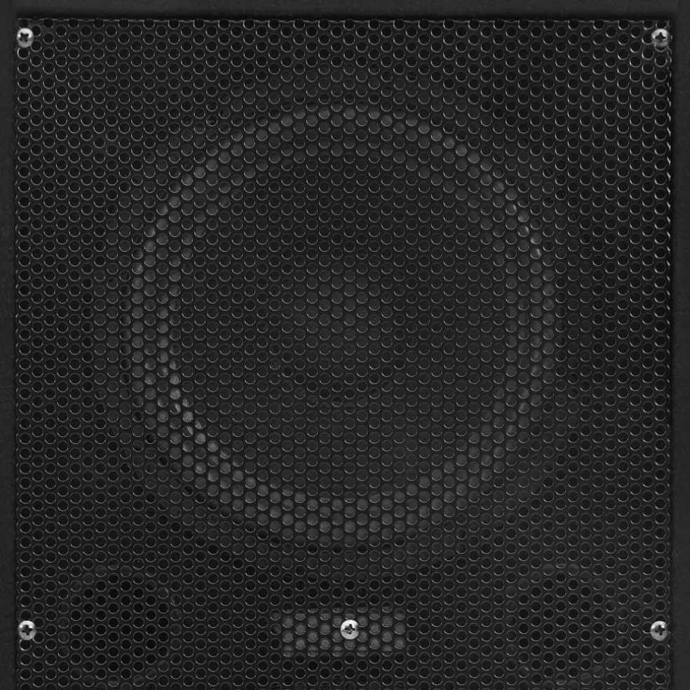 vidaXL Hifi-podiumluidsprekers 2 st passief professioneel 1000 W zwart