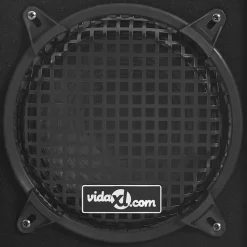 vidaXL Hifi-podiumluidsprekers 2 st passief professioneel 800 W zwart