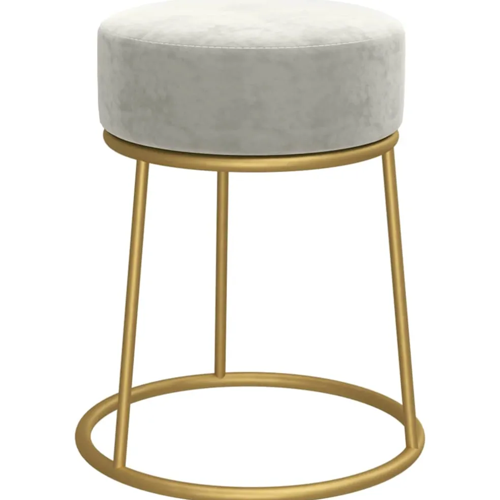 vidaXL Hocker rond fluweel lichtgrijs
