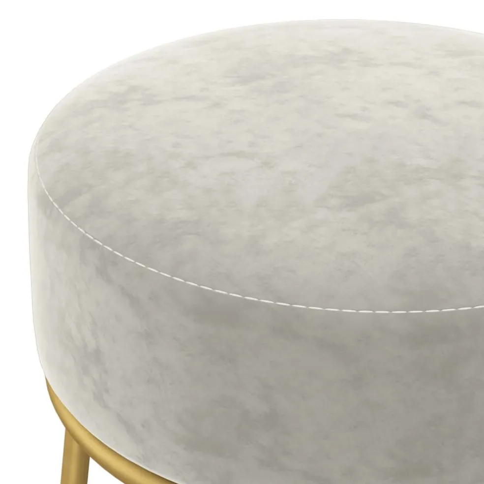 vidaXL Hocker rond fluweel lichtgrijs