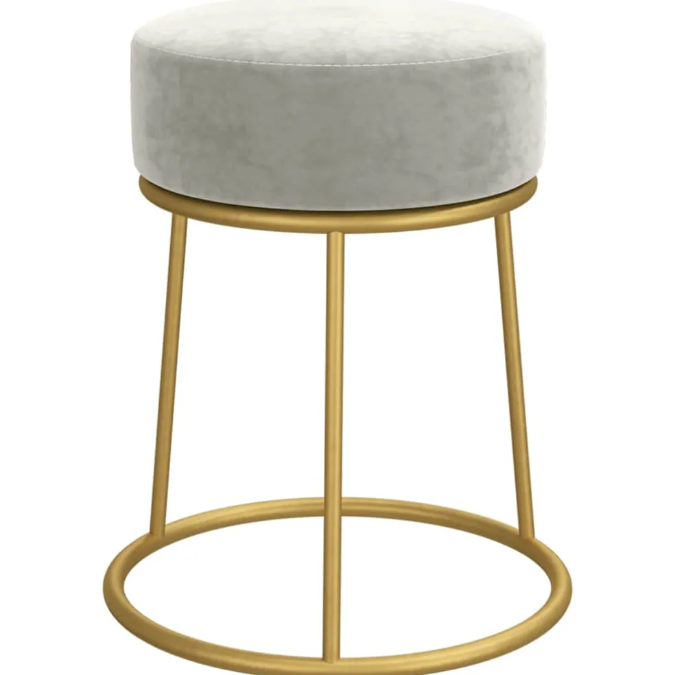 vidaXL Hocker rond fluweel lichtgrijs