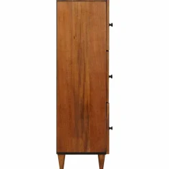 vidaXL Hoge kast Walnotenhout 40 x 33 x 110 cm Massief Mango Hout