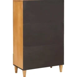 vidaXL Hoge kast 60 x 33 x 100 cm Massief Mango Hout