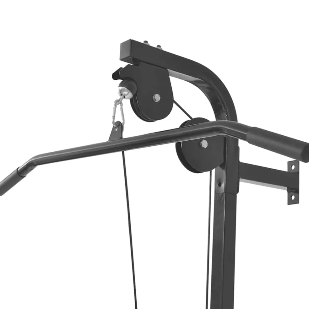 vidaXL Home gym met 2 katrollen wandgemonteerd