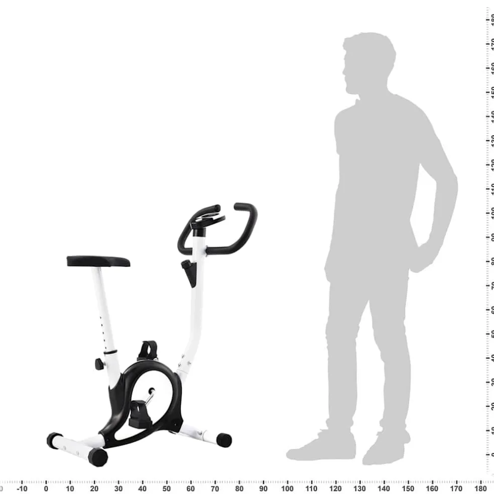 vidaXL Hometrainer met bandweerstand zwart