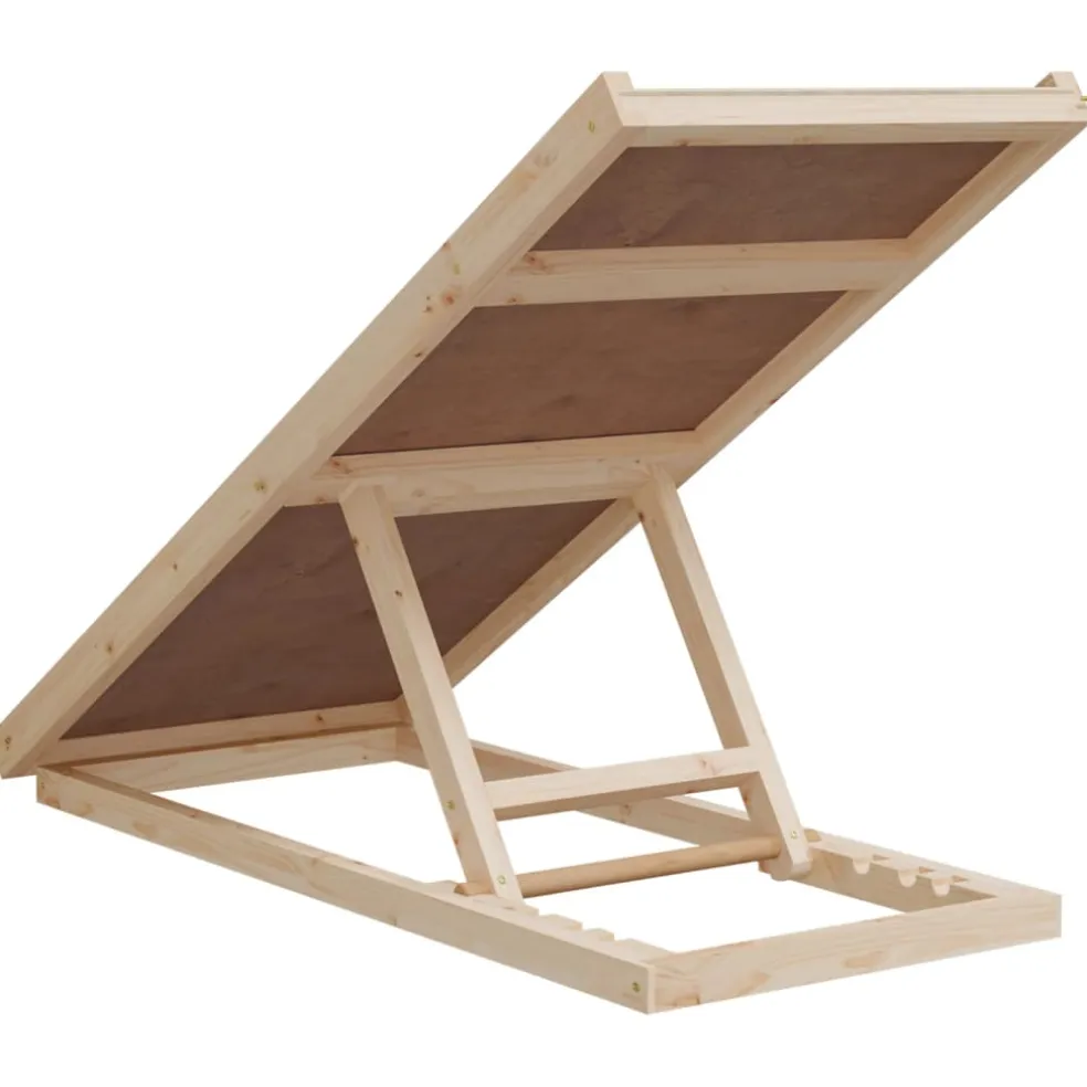 vidaXL Hondenloopplank 100x40 cm massief vurenhout grijs