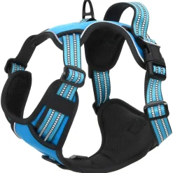 vidaXL Hondentuigje met riem en halsband verstelbaar L blauw