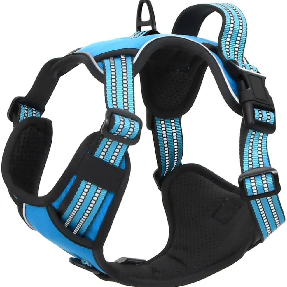 vidaXL Hondentuigje met riem en halsband verstelbaar L blauw