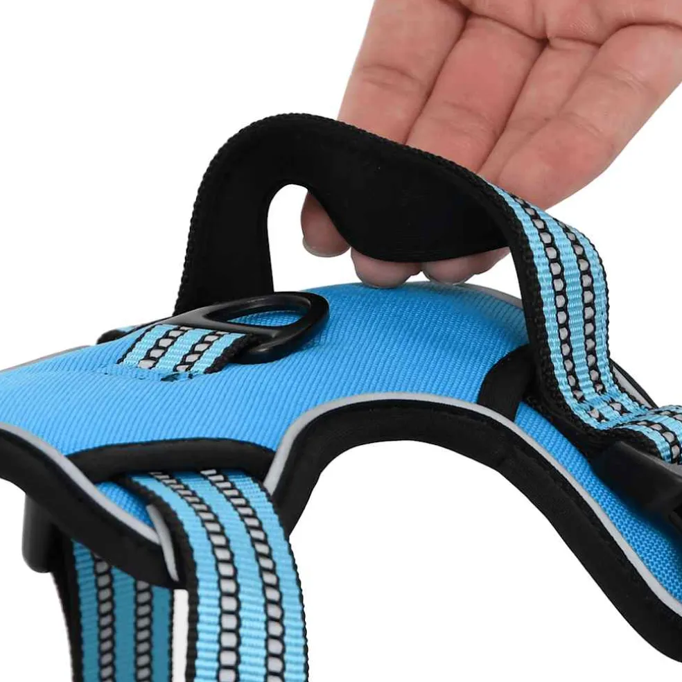 vidaXL Hondentuigje met riem en halsband verstelbaar L blauw